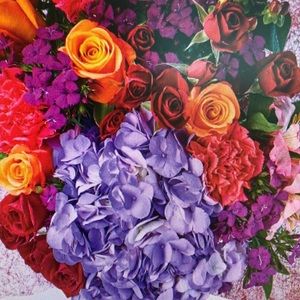 Meet your Posher, Kathleen